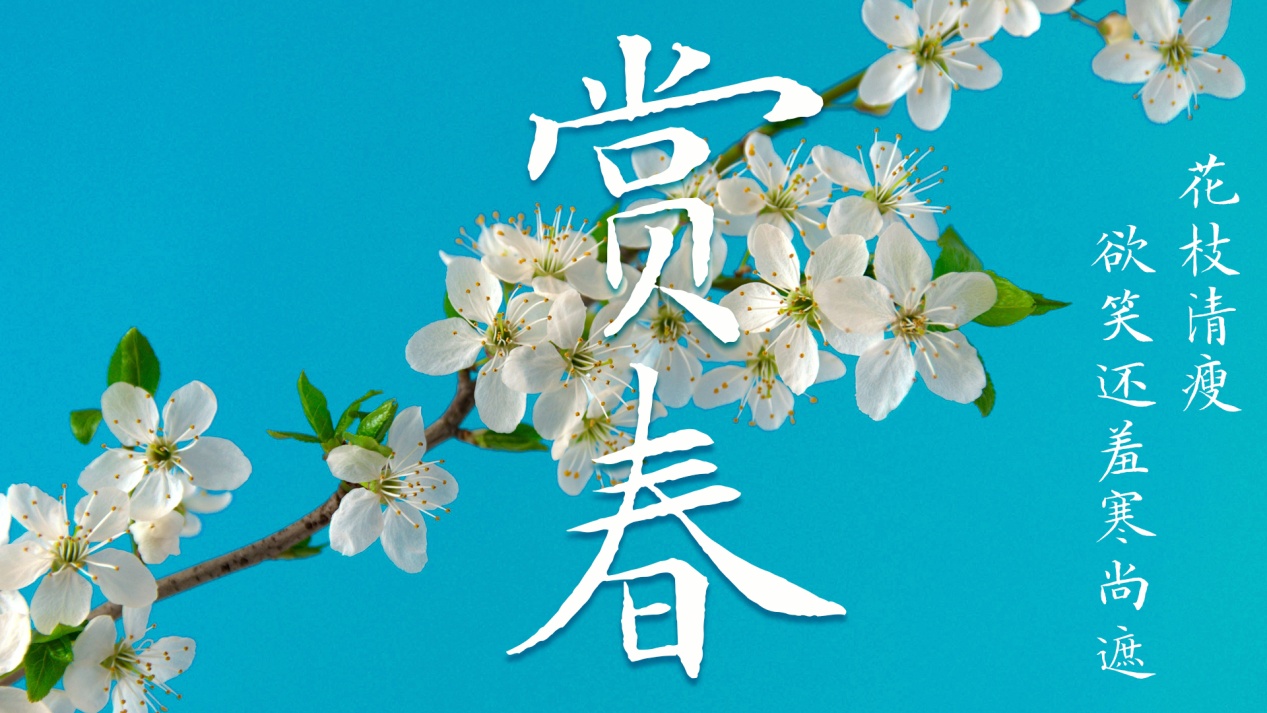 clip_image017.jpg clip_image017.jpg